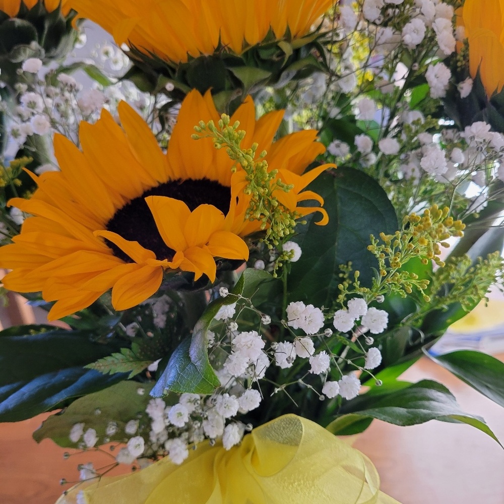 Meet your Posher, Inez